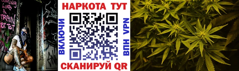 Наркота Кириши КОКАИН Alpha-PVP ГАШИШ Марихуана Псилоцибиновые грибы Меф мяу мяу