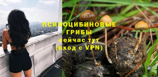скорость mdpv Белокуриха